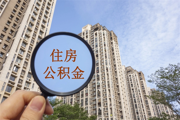 合肥住房公积金怎么提（怎样提取住房公基金）